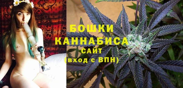 прущие грибы Вязники