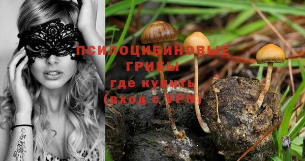 мескалин Вязьма