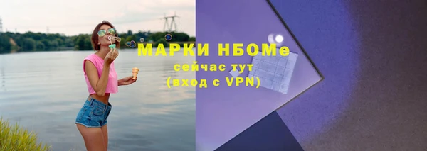 прущие грибы Вязники