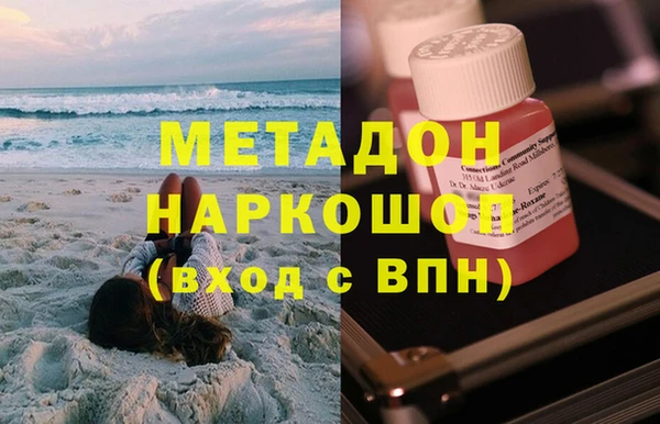 прущие грибы Вязники