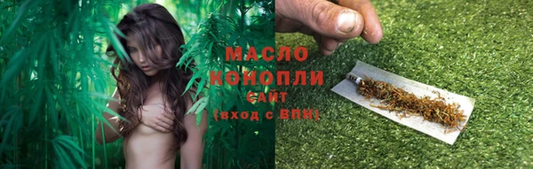 прущий лед Бородино