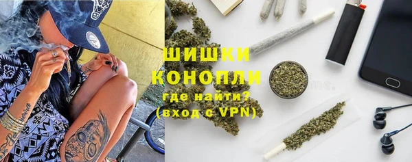 прущие грибы Вязники