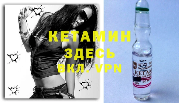 прущие грибы Вязники