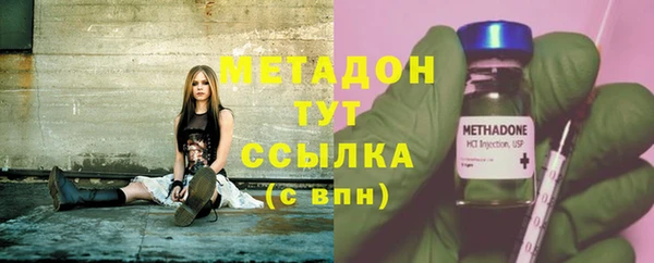 прущие грибы Вязники