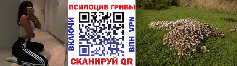 Галлюциногенные грибы Psilocybe  Демидов 